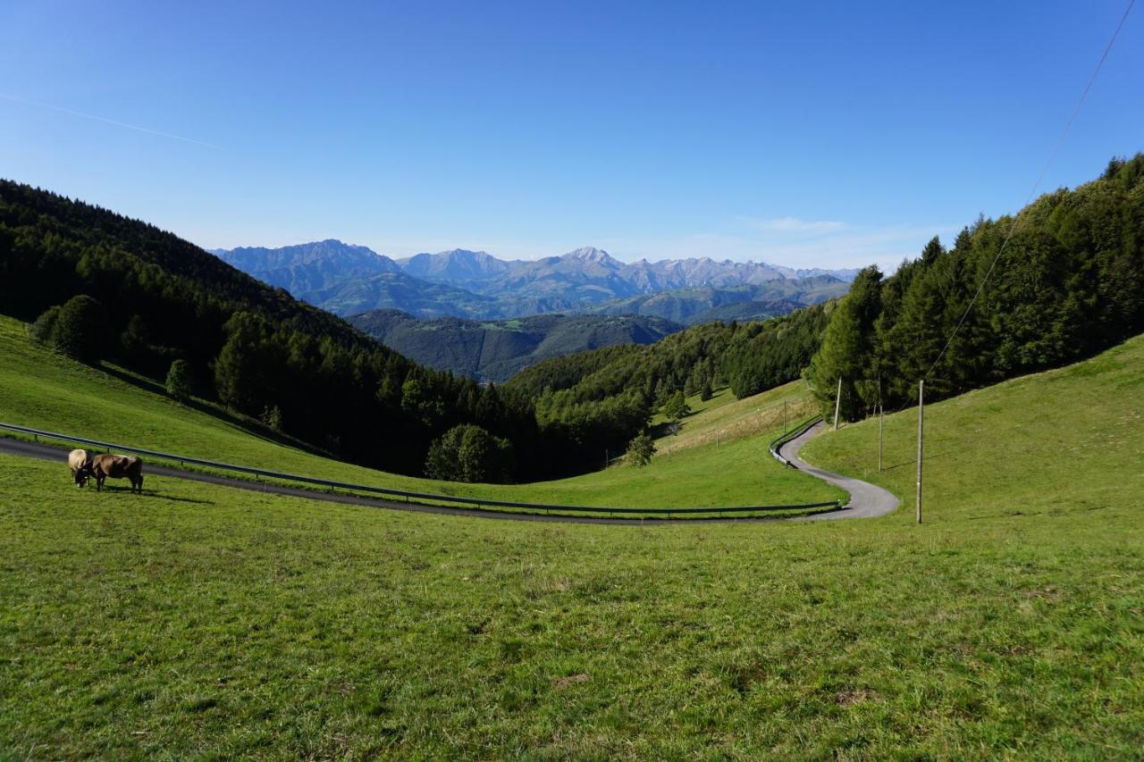Adrara San Rocco Panorama 1200, In The Heart Of The San Fermo Hills 아파트 외부 사진