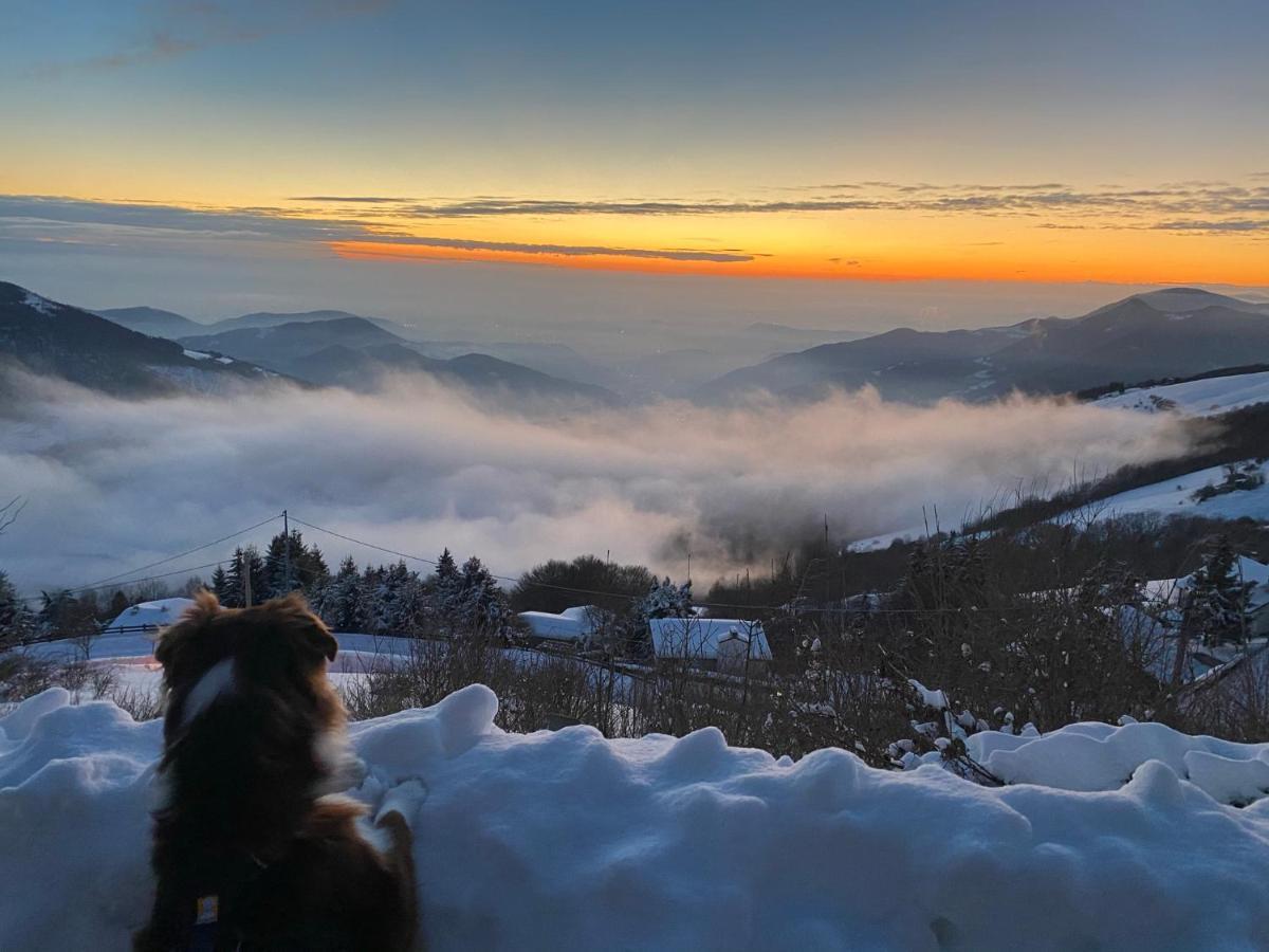 Adrara San Rocco Panorama 1200, In The Heart Of The San Fermo Hills 아파트 외부 사진
